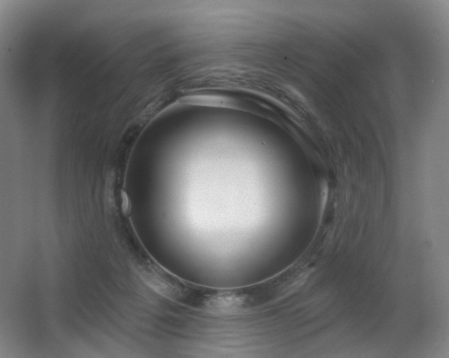 X0000063480217200601201252