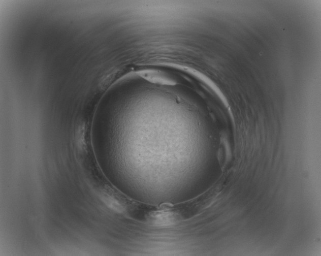 X0000063480219200601201252