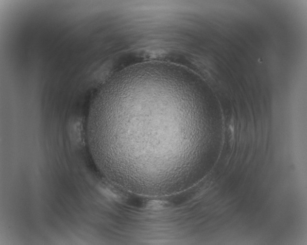 X0000063480222200601201252