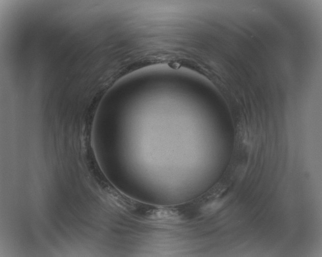 X0000063480223200601201252