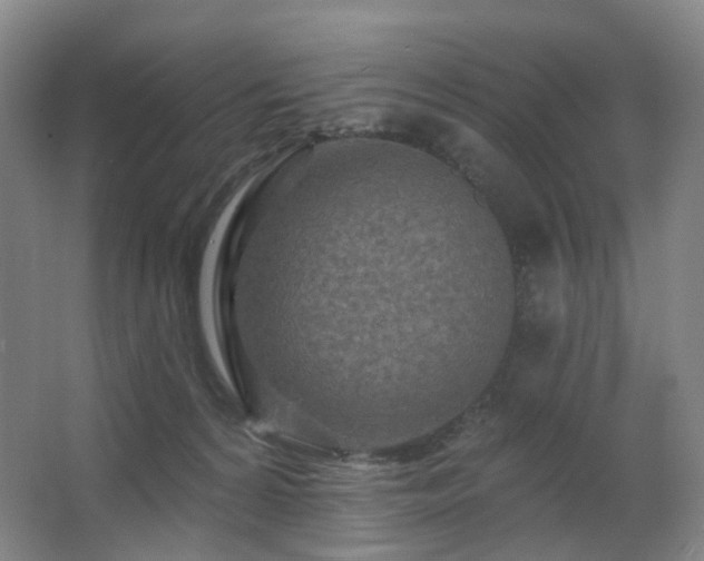 X0000063480224200601201252