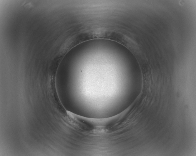 X0000063480225200601201252