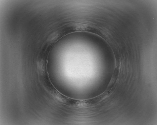 X0000063480228200601201252