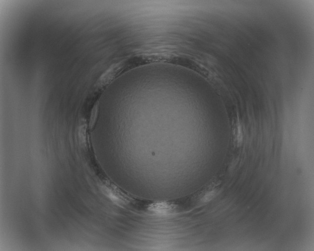 X0000063480231200601201251