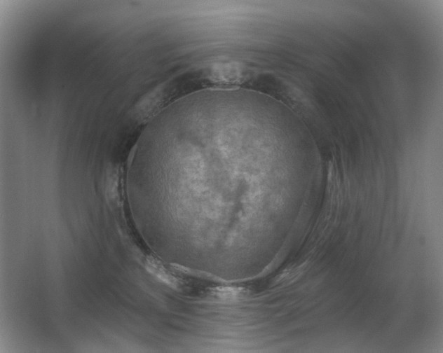 X0000063480233200601201251