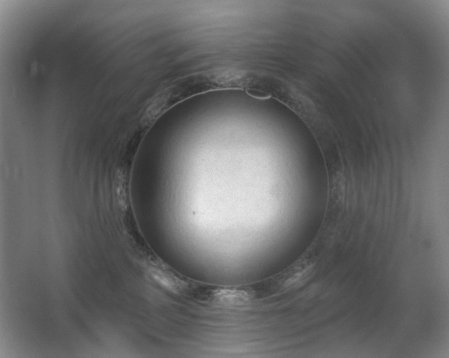 X0000063480234200601201251