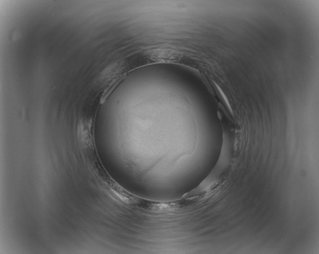 X0000063480239200601201251