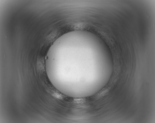 X0000063480240200601201251