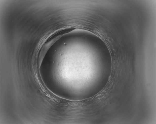 X0000063480241200601201250