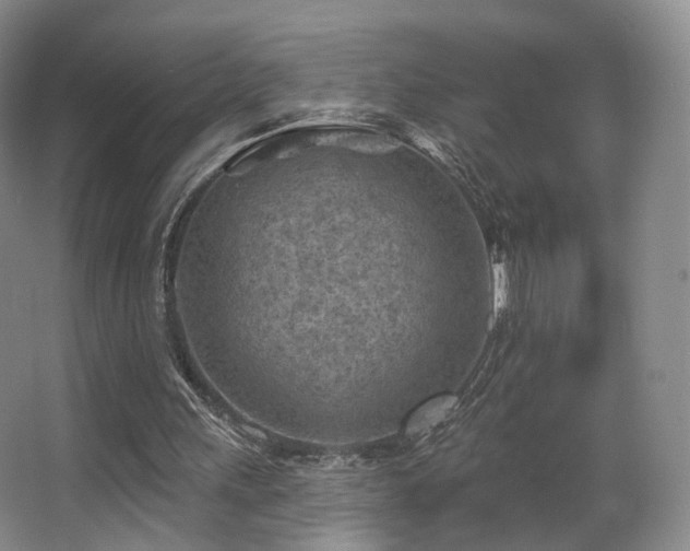 X0000063480243200601201251