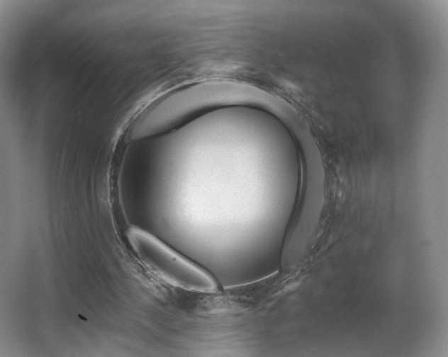 X0000063480244200601201251