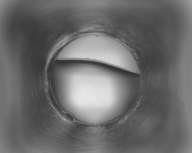 X0000063480245200601201251