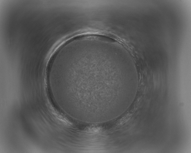 X0000063480247200601201251