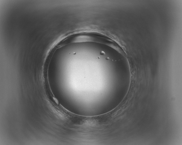 X0000063480248200601201251