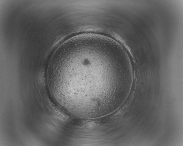 X0000063480249200601201251