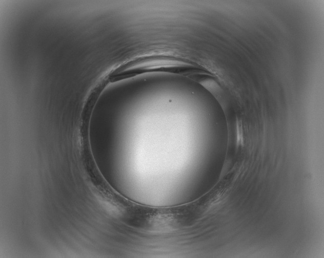 X0000063480252200601201251