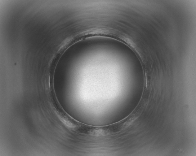 X0000063480253200601201251