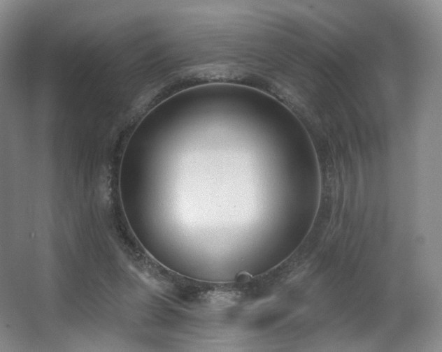 X0000063480255200601201251