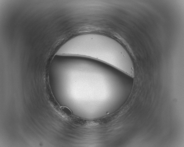 X0000063480257200601201251