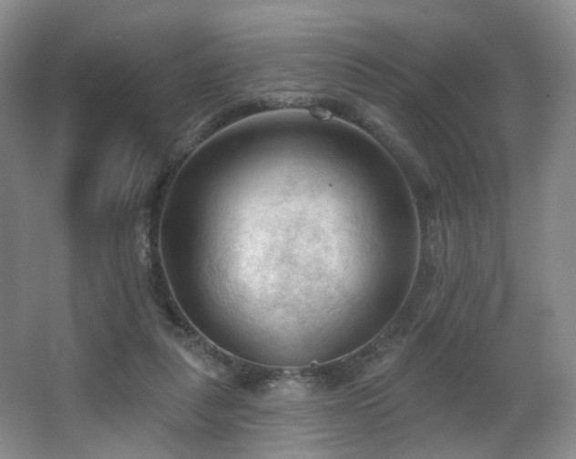 X0000063480259200601201251