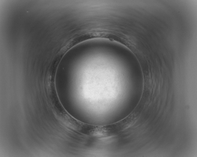 X0000063480263200601201251