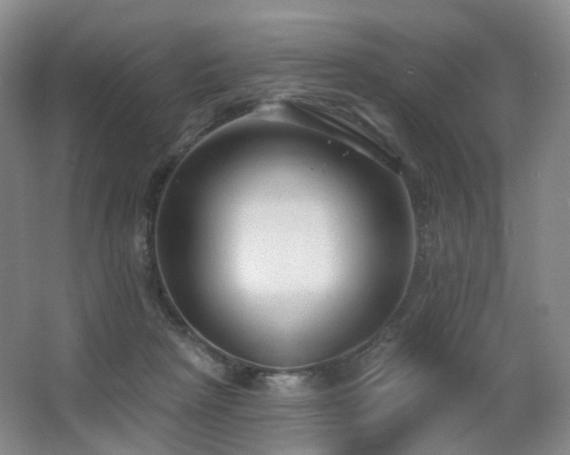 X0000063480265200601201251