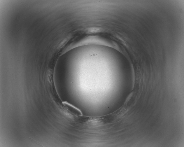 X0000063480280200601201251