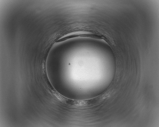 X0000063480288200601201251