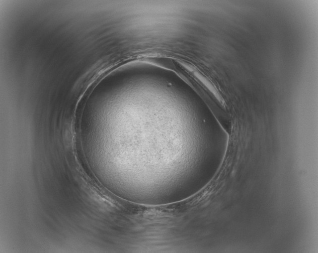 X0000063480290200601201250