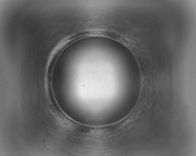 X0000063480294200601201250