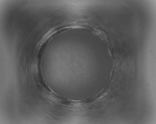 X0000063480295200601201250