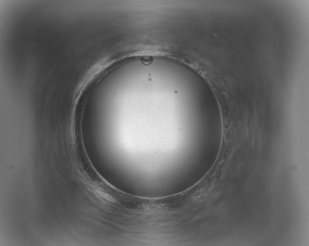 X0000063480296200601201250