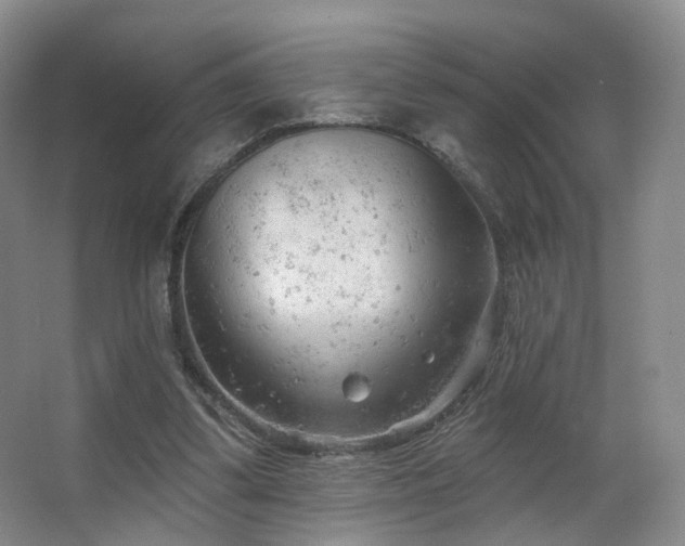 X0000063480299200601201250