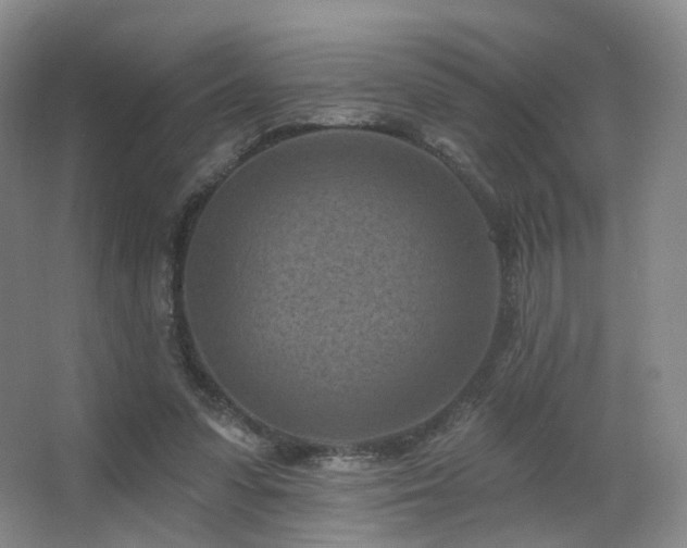 X0000063480303200601201250