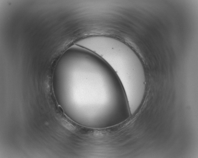 X0000063480305200601201250