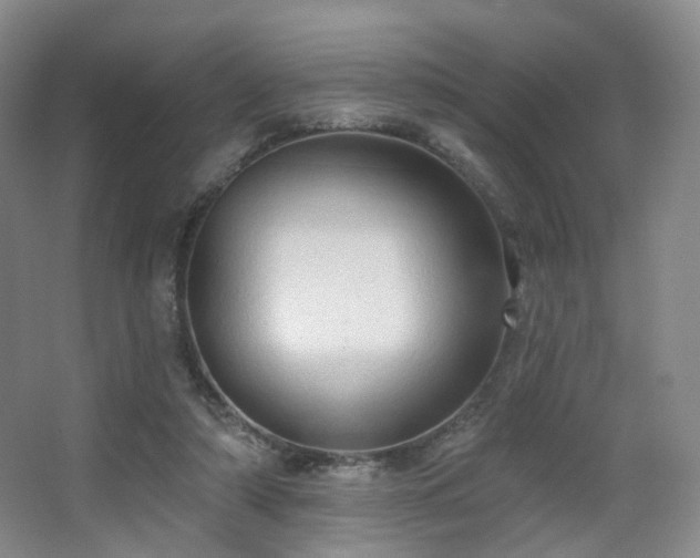 X0000063480306200601201250