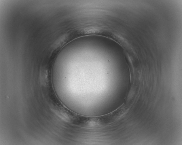 X0000063480308200601201250