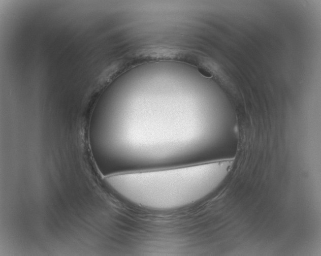 X0000063480309200601201250