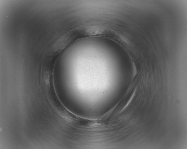 X0000063480315200601201250