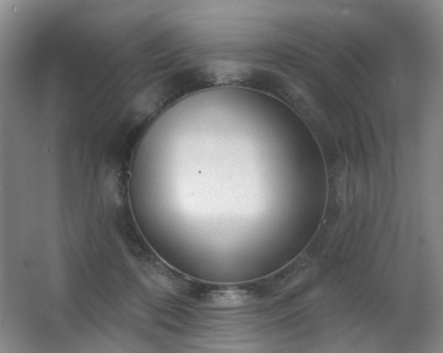 X0000063480316200601201250