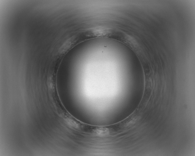 X0000063480317200601201250