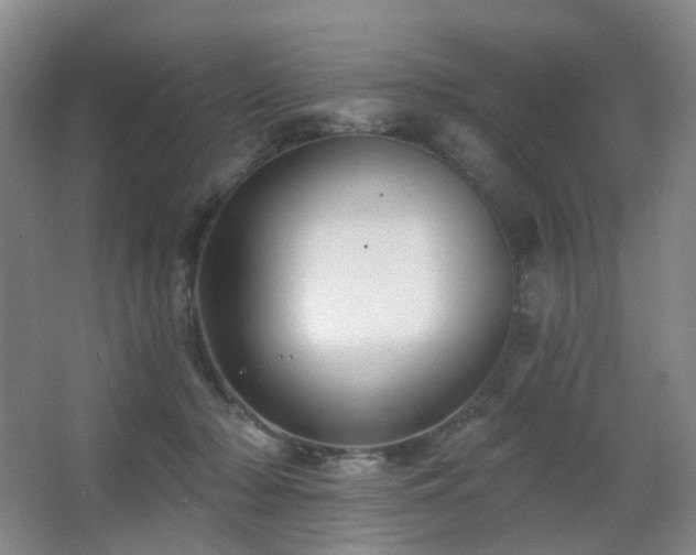 X0000063480318200601201250