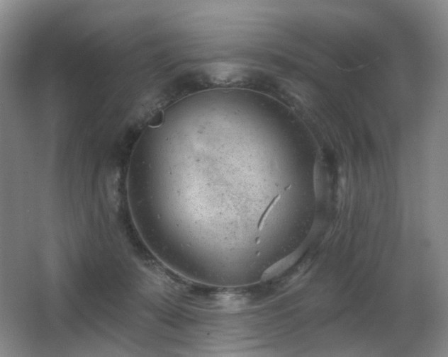 X0000063480319200601201250