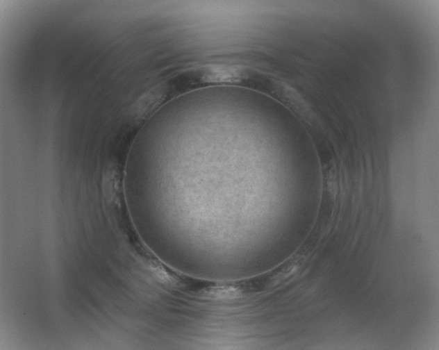 X0000063480322200601201250