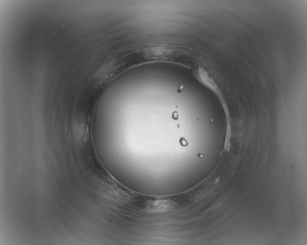 X0000063480324200601201250