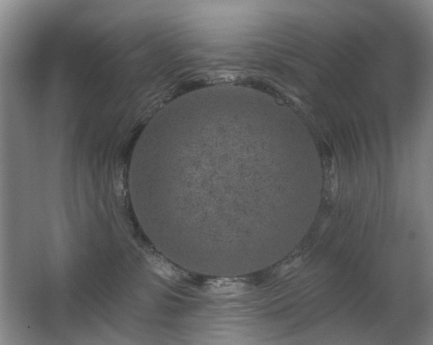 X0000063480331200601201250