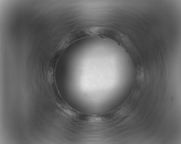 X0000063480332200601201250