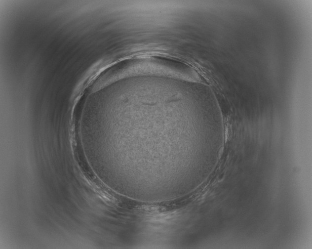 X0000063480339200601201249