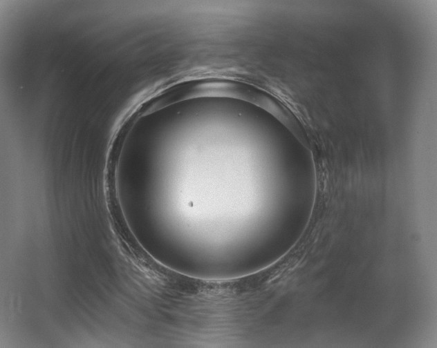 X0000063480340200601201249