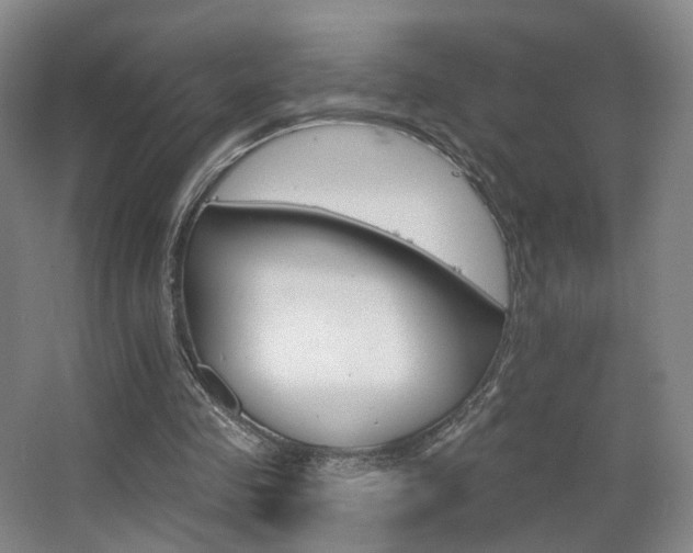 X0000063480341200601201249